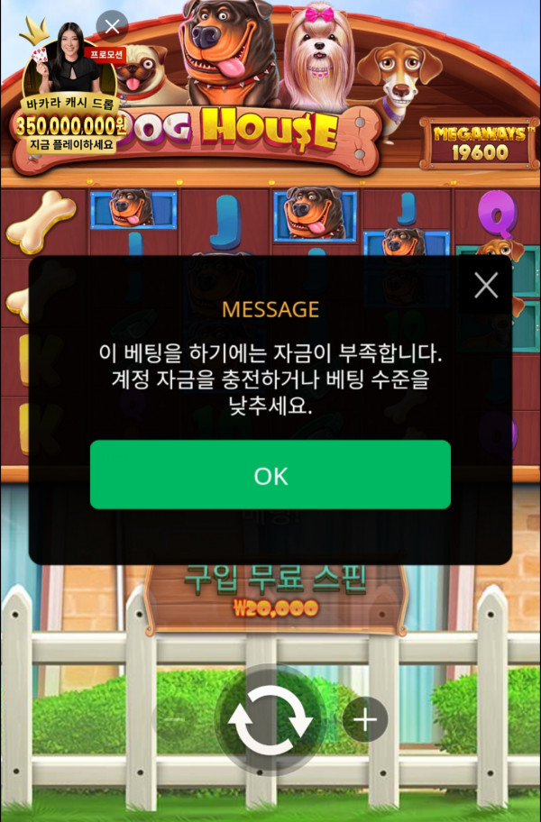 1000024052.jpg