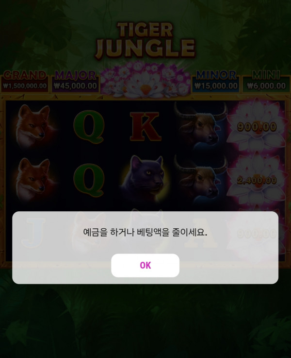1000024080.jpg